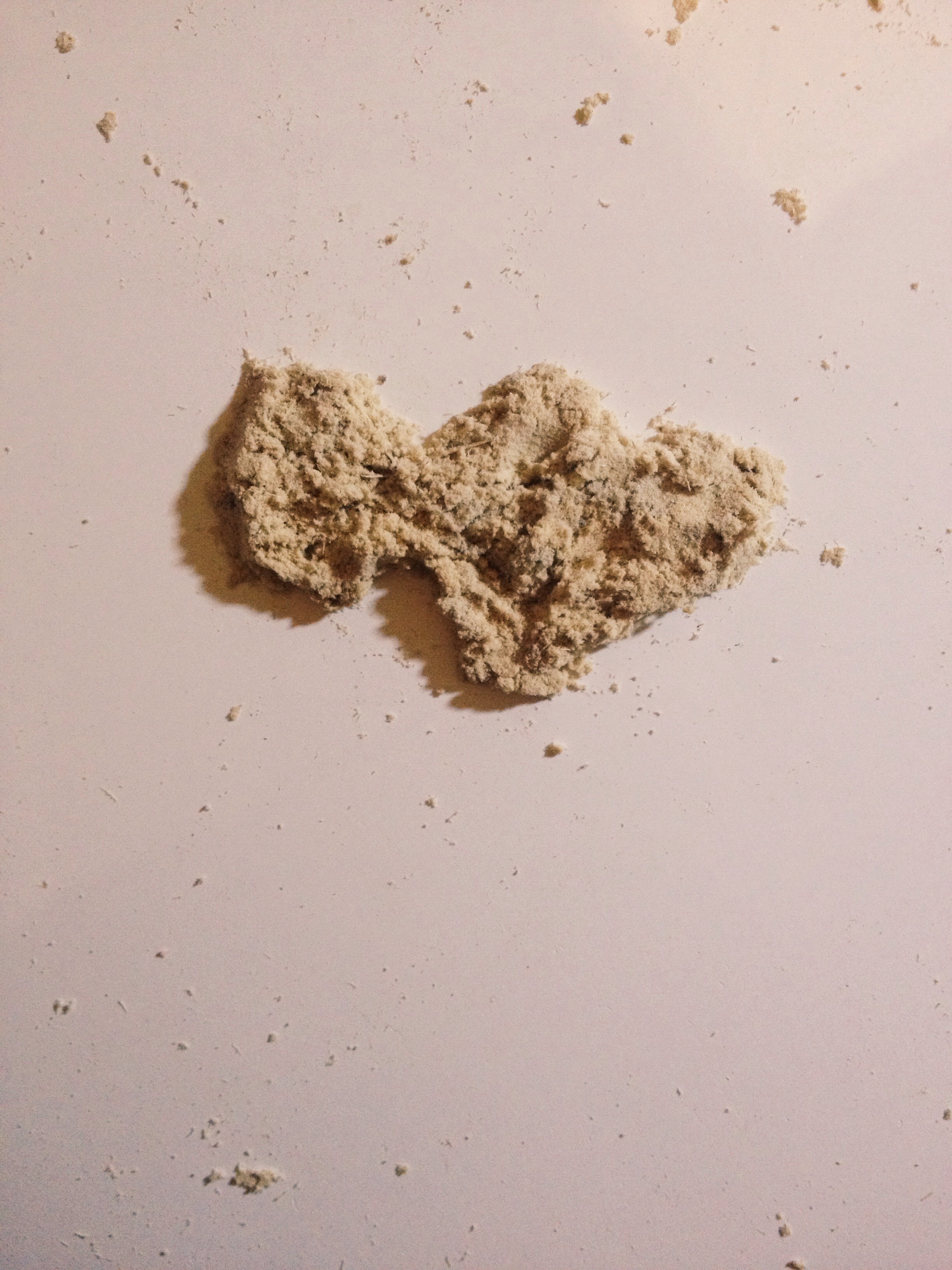 20131103-041003.jpg